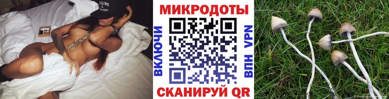 Галлюциногенные грибы GOLDEN TEACHER  купить наркотик  Бийск 